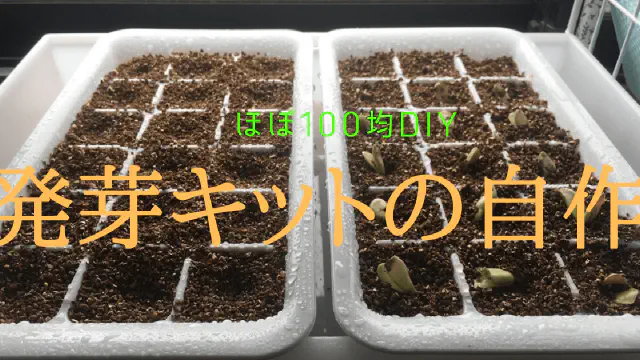 【100均DIY】水耕栽培に最適！簡単自作発芽キットの作り方