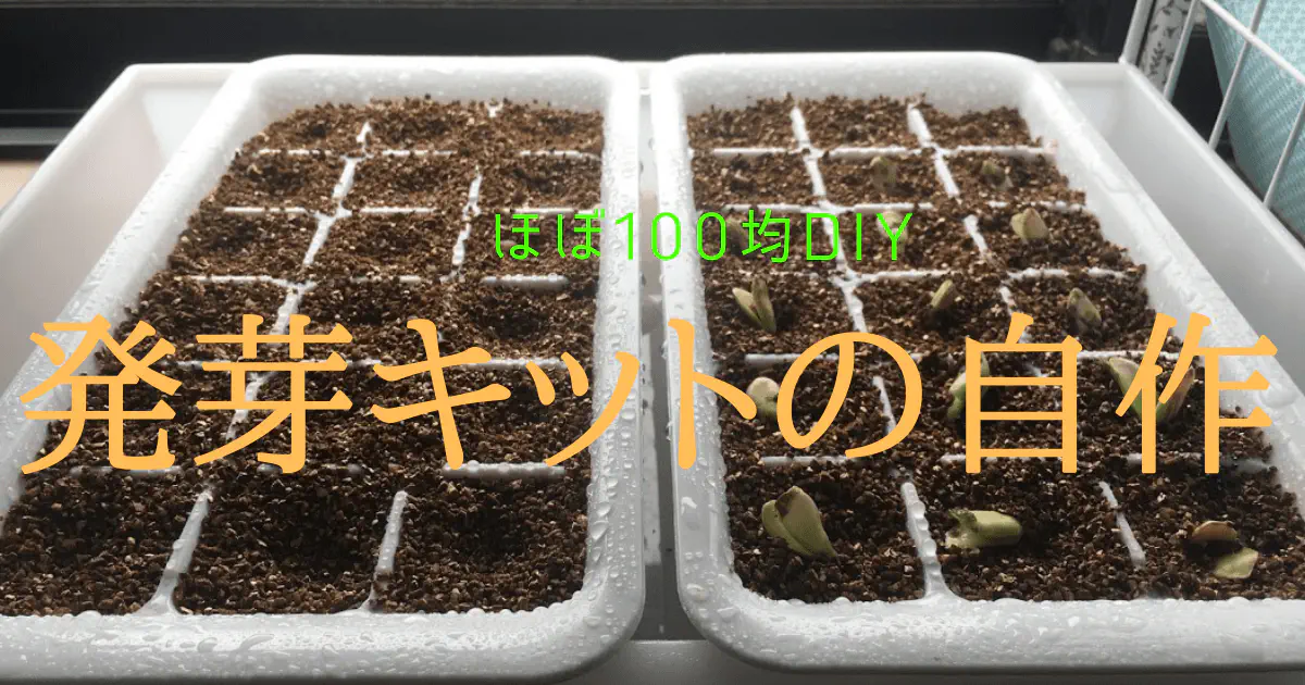 【100均DIY】水耕栽培に最適！簡単自作発芽キットの作り方