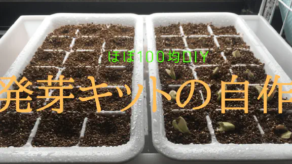 【100均DIY】水耕栽培に最適！簡単自作発芽キットの作り方