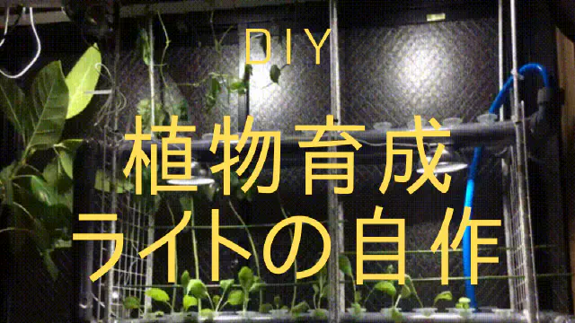 【DIY】100均グッズで植物育成LEDライトを自作する方法と効果を解説