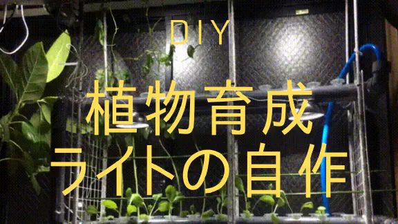 【DIY】100均グッズで植物育成LEDライトを自作する方法と効果を解説