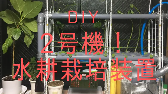 【水耕栽培2号機】1号機の課題を克服！塩ビパイプで本格的な循環式装置をDIY