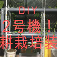 【水耕栽培2号機】1号機の課題を克服！塩ビパイプで本格的な循環式装置をDIY