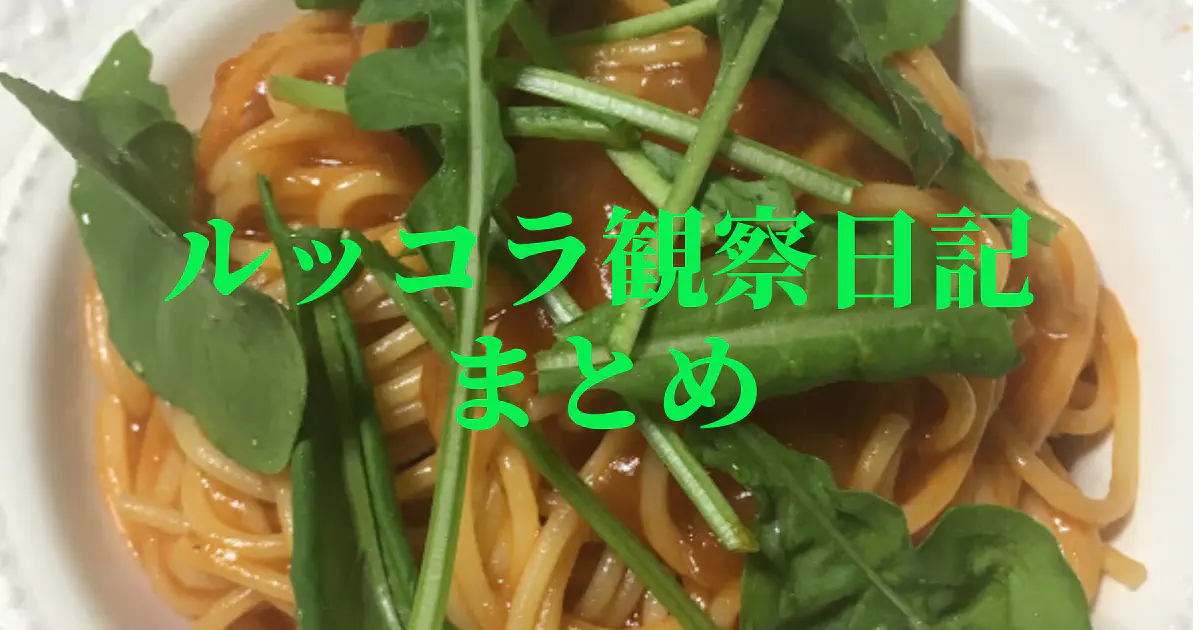 【水耕栽培】ルッコラ観察日記：発芽から収穫まで徹底まとめ！初心者向け栽培ガイド